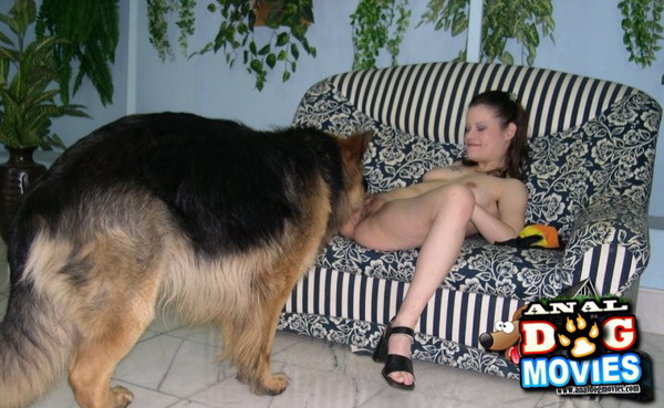 Girl Sex German Sheperd Babes